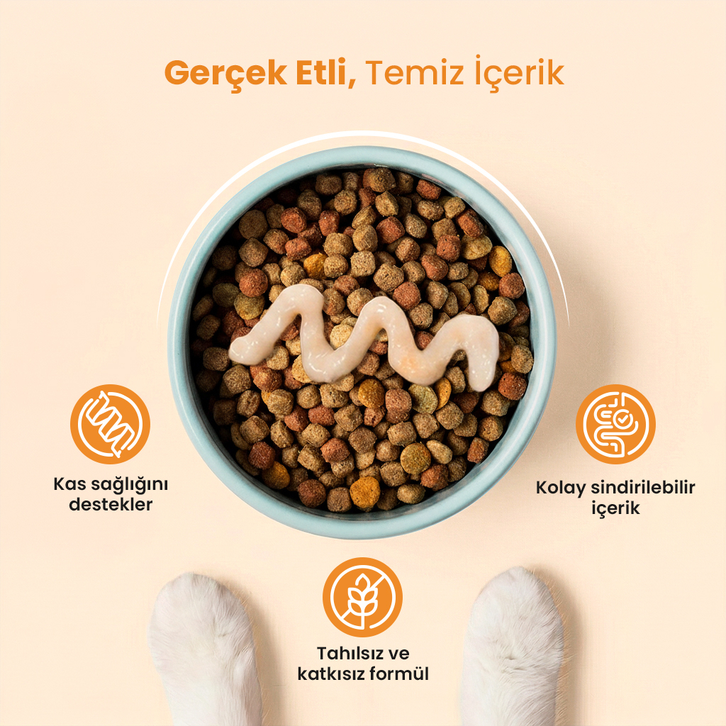 Vet's Plus Tavuklu Krema Kedi Ödül Maması 14gr (20 Adet)