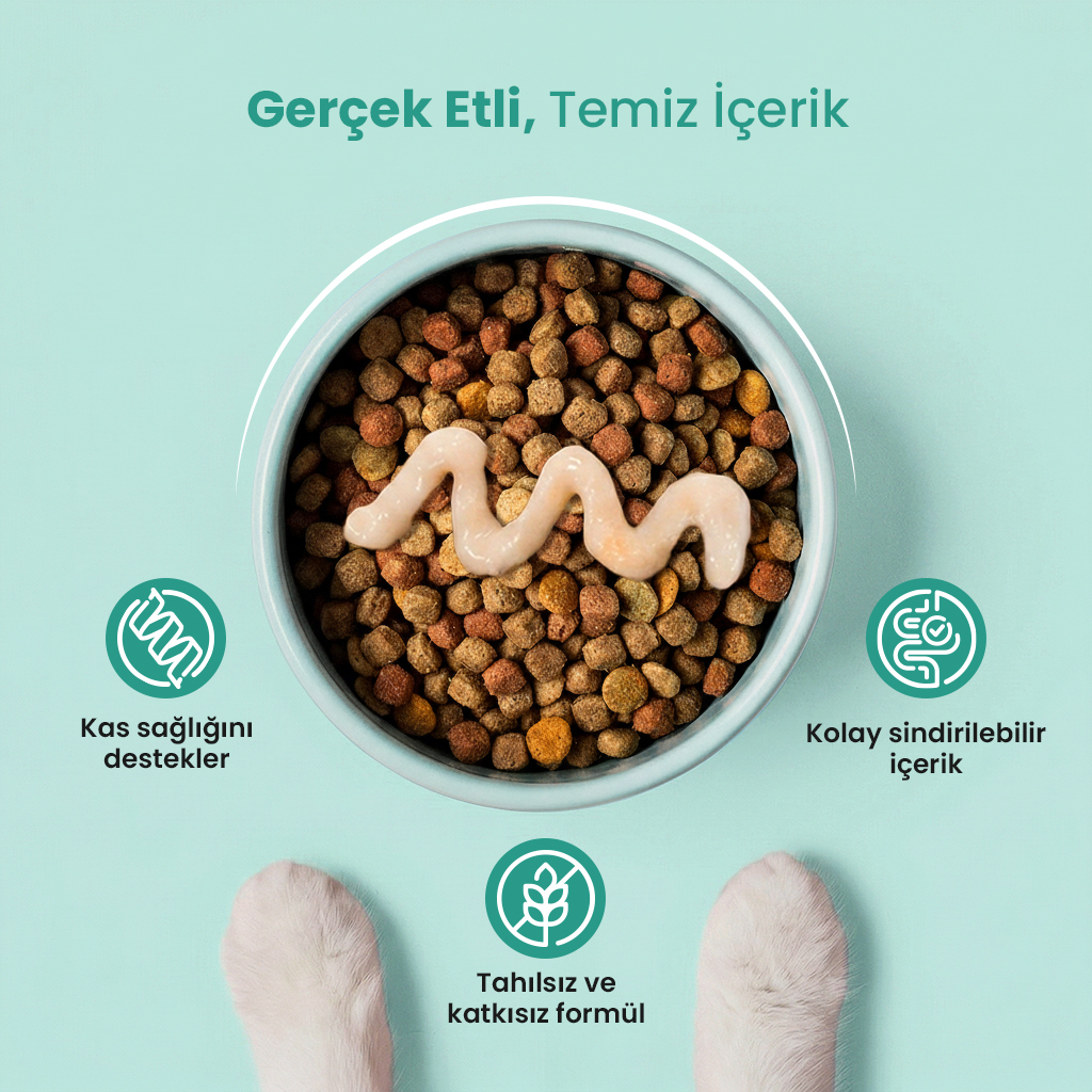 Vet's Plus Ton Balıklı Krema Kedi Ödül Maması 14gr (20 Adet)