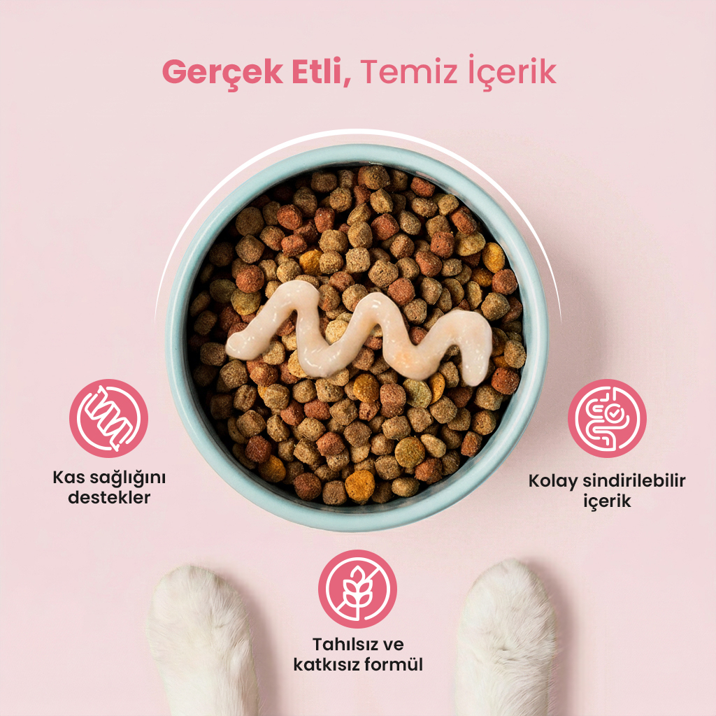 Vet's Plus Somonlu Krema Kedi Ödül Maması 14gr (20 Adet)