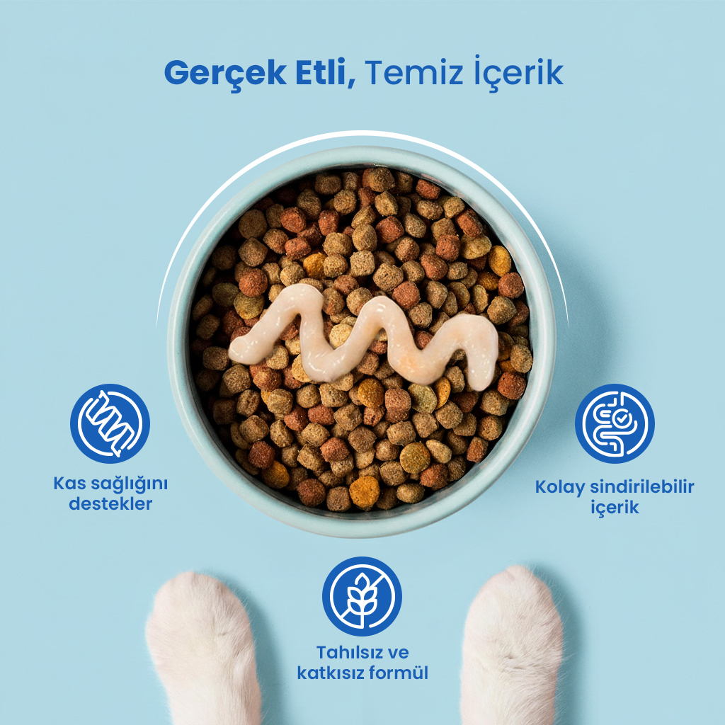 Vet's Plus Okyanus Balıklı Krema Kedi Ödül Maması 14gr (5'li)