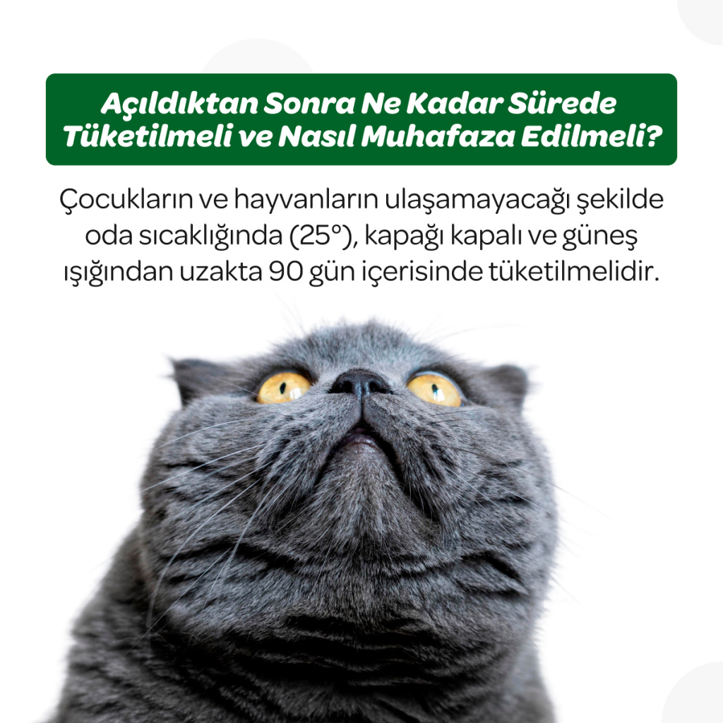 Vet's Plus Hairball Kediler İçin Tüy Yumağı Önleyen Çiğnenebilir Tablet (60'lı)+Tüy Toplama HEDİYE!