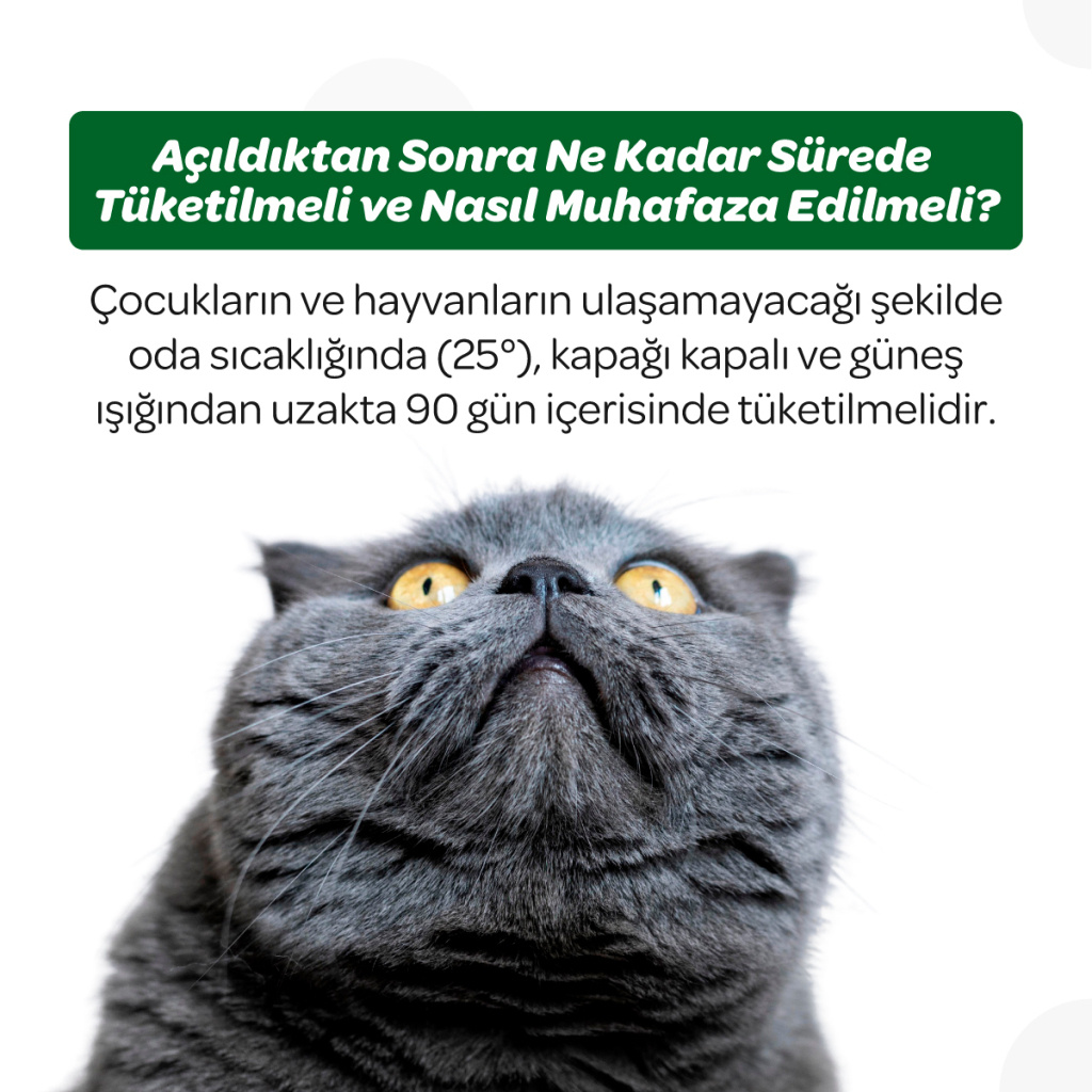 Vet's Plus Hairball Kediler İçin Malt ve Kinoalı Tüy Yumağı Önleyici Çiğnenebilir Tablet (60'lı)