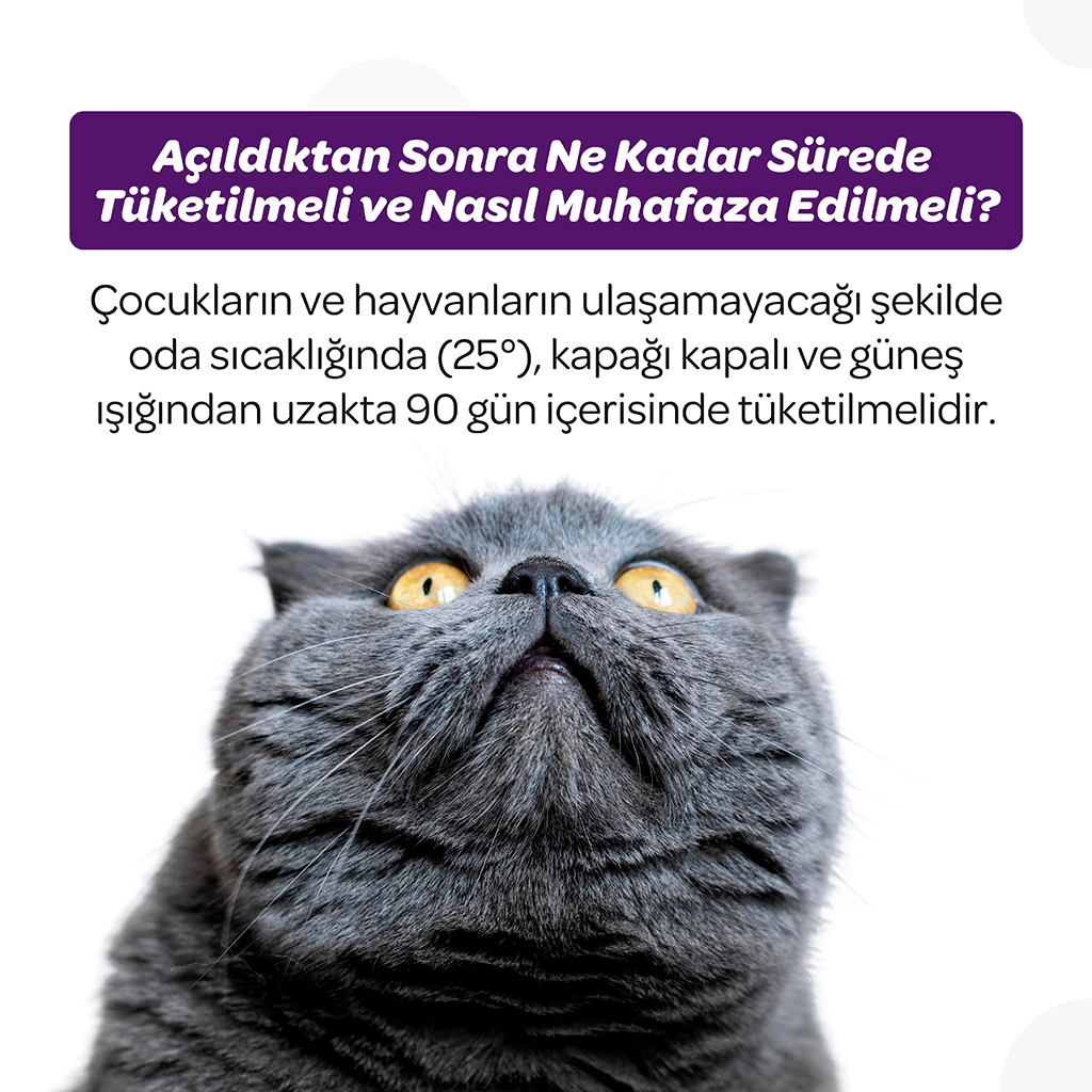 Vet's Plus Sterilised Kısırlaştırılmış Kediler İçin Yaban Mersinli Çiğnenebilir Tablet (60'lı)