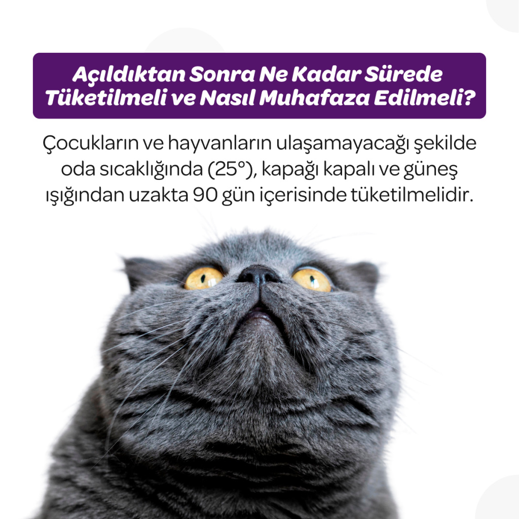 Vet's Plus Sterilised Kısırlaştırılmış Kediler İçin Yaban Mersinli Çiğnenebilir Tablet (60'lı)