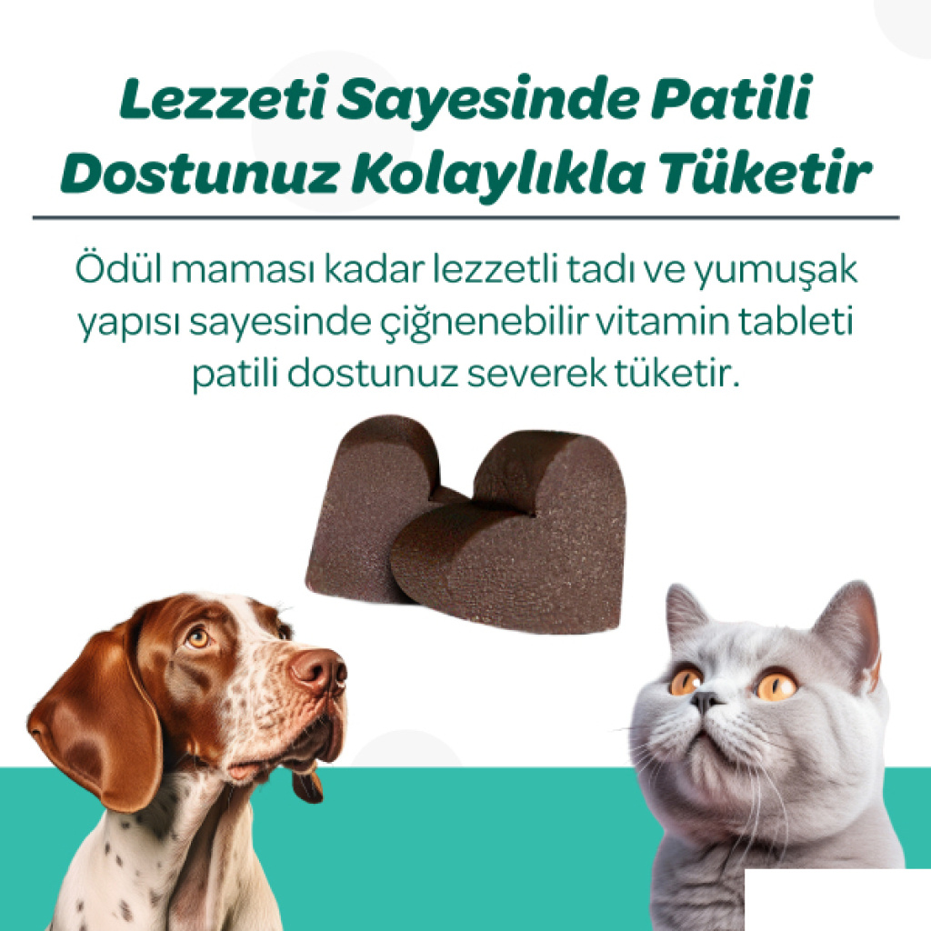 Vet's Plus Dental Kedi ve Köpekler İçin Diş Bakımı Çiğnenebilir Tablet (60'lı)