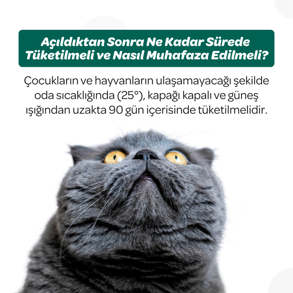 Vet's Plus Dental Kedi ve Köpekler İçin Diş Bakımı Çiğnenebilir Tablet (60'lı)