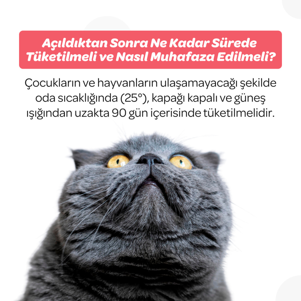 Vet's Plus Senior Yaşlı Kedi ve Köpekler İçin Çiğnenebilir Tablet (60'lı)+Tüy Toplama HEDİYE!