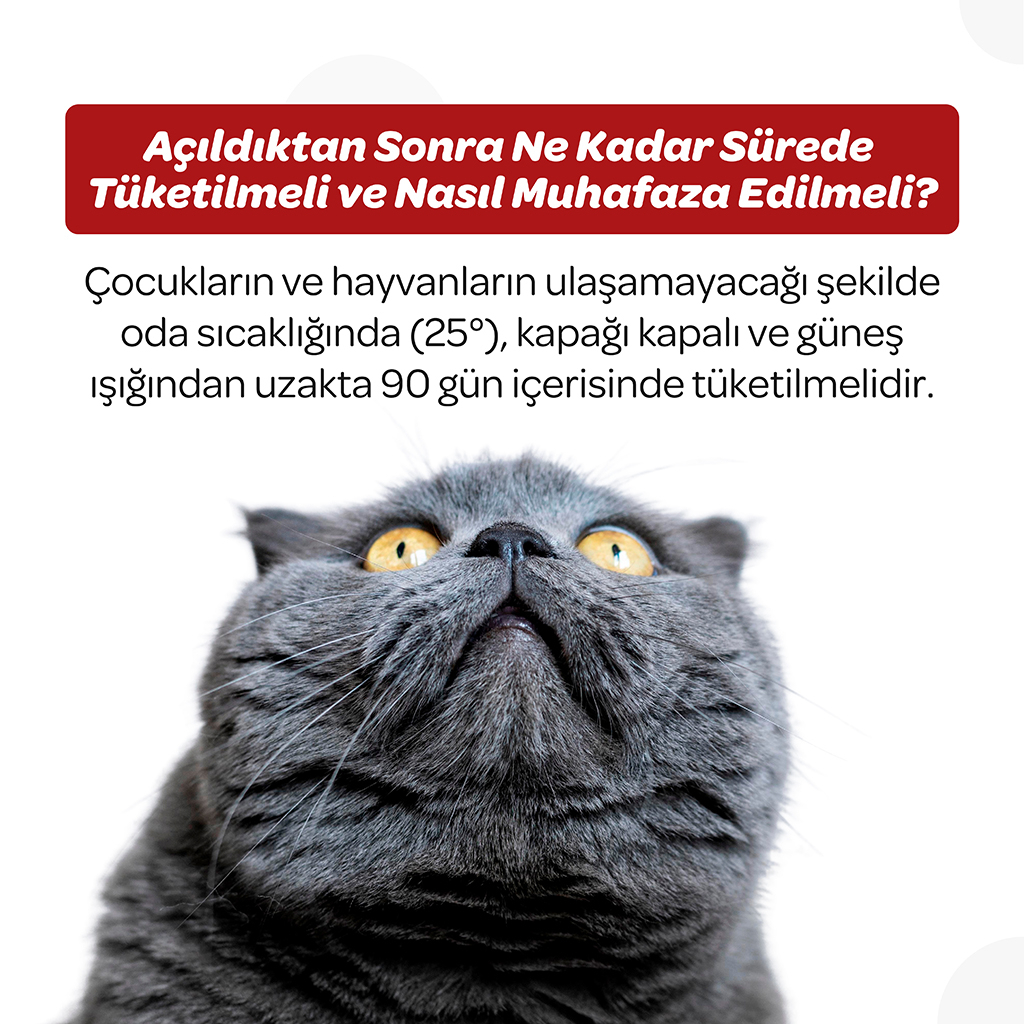 Vet's Plus Immune Kedi ve Köpekler İçin Bağışıklık Sistemi Destekleyici Çiğnenebilir Tablet (60'lı)