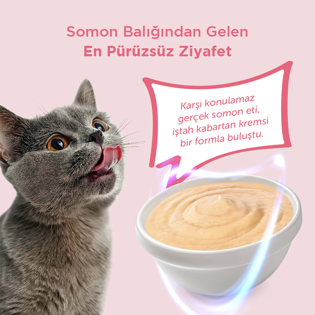 Vet's Plus Somonlu Krema Kedi Ödül Maması 14gr (5'li)