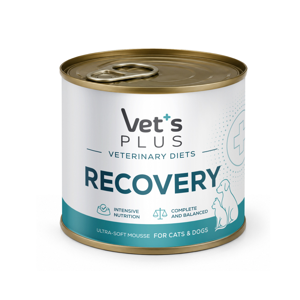Vet's Plus Veterinary Diets Recovery Kedi ve Köpekler İçin Püre Konserve Maması 156gr