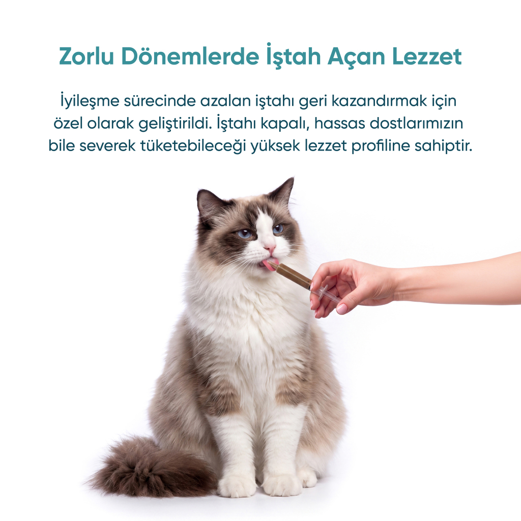 Vet's Plus Veterinary Diets Recovery Kedi ve Köpekler İçin Püre Konserve Maması 156gr