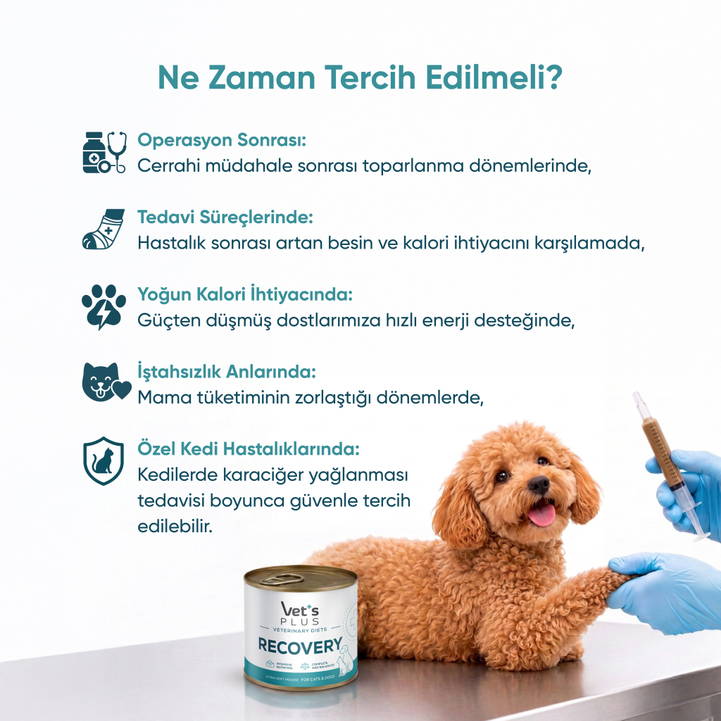 Vet's Plus Veterinary Diets Recovery Kedi ve Köpekler İçin Püre Konserve Maması 156gr