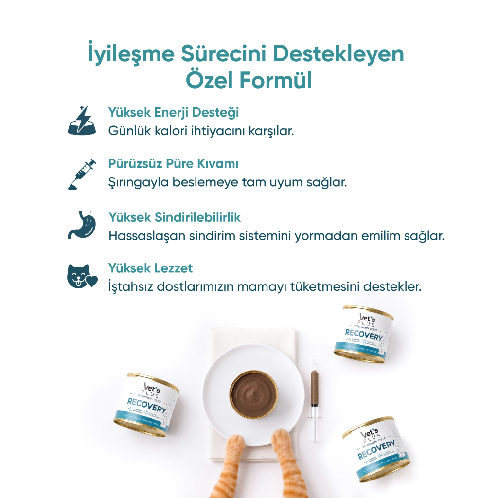Vet's Plus Veterinary Diets Recovery Kedi ve Köpekler İçin Püre Konserve Maması 156gr