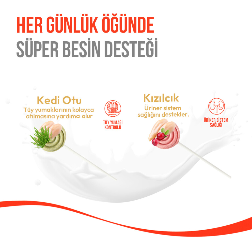 Wanpy LolliPop Dondurularak Kurutulmuş Kedi Otlu Lolipop Kedi Ödül Maması 1,4gr (10'lu)
