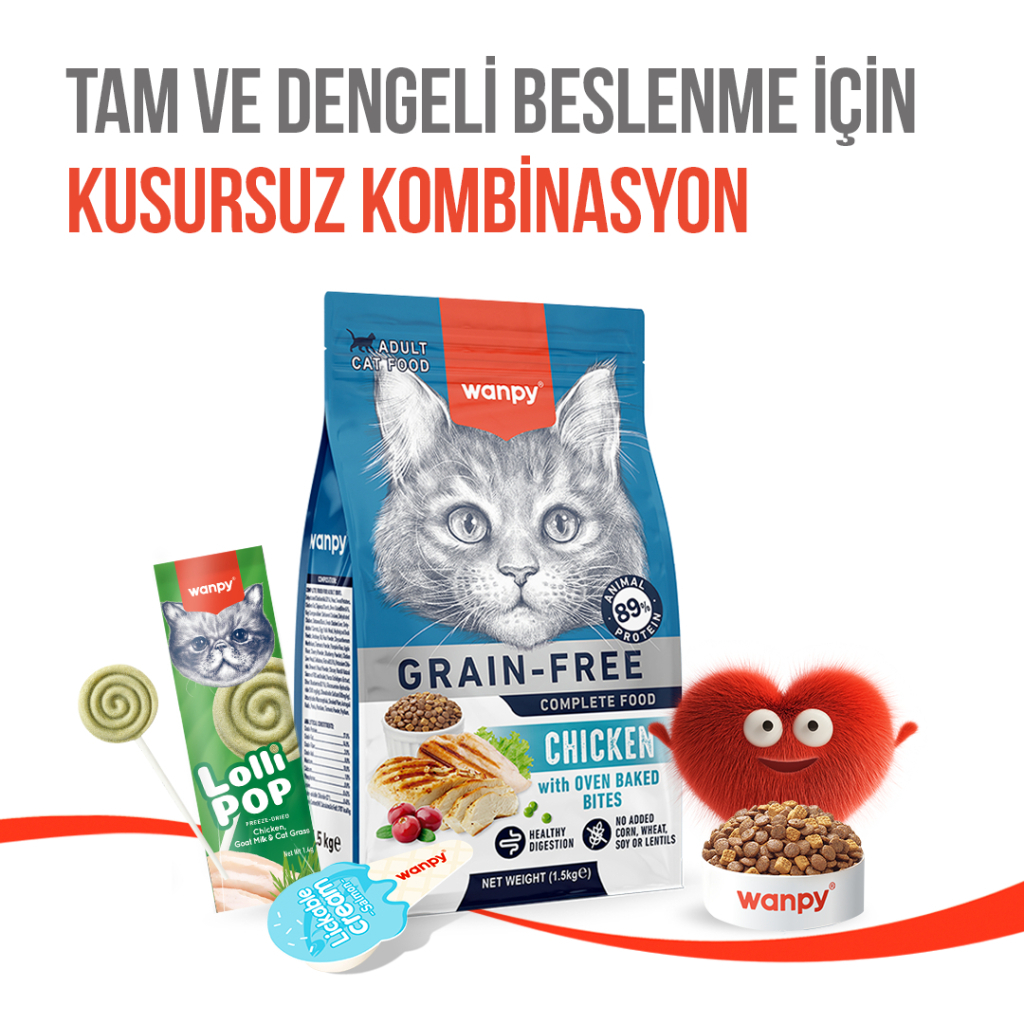 Wanpy LolliPop Dondurularak Kurutulmuş Kedi Otlu Lolipop Kedi Ödül Maması 1,4gr (10'lu)
