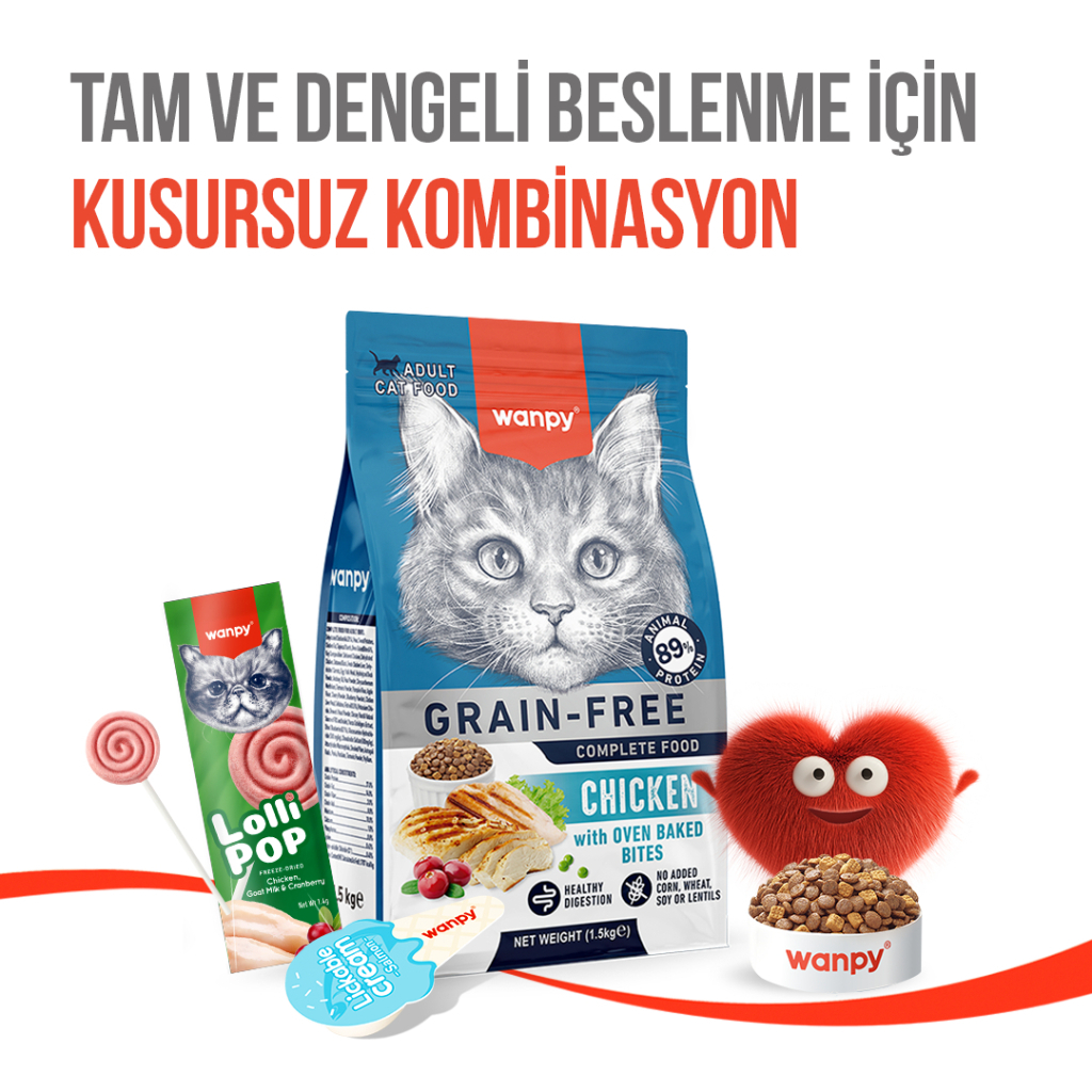 Wanpy LolliPop Dondurularak Kurutulmuş Kızılcıklı Lolipop Kedi Ödül Maması 1,4gr (10'lu)