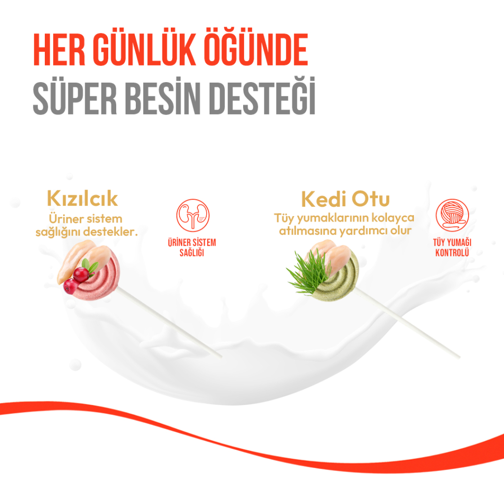 Wanpy LolliPop Dondurularak Kurutulmuş Kızılcıklı Lolipop Kedi Ödül Maması 1,4gr (10'lu)