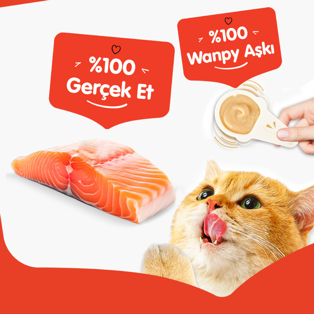 Wanpy Somonlu Kaşık Krema Kedi Ödül Maması 10x16gr