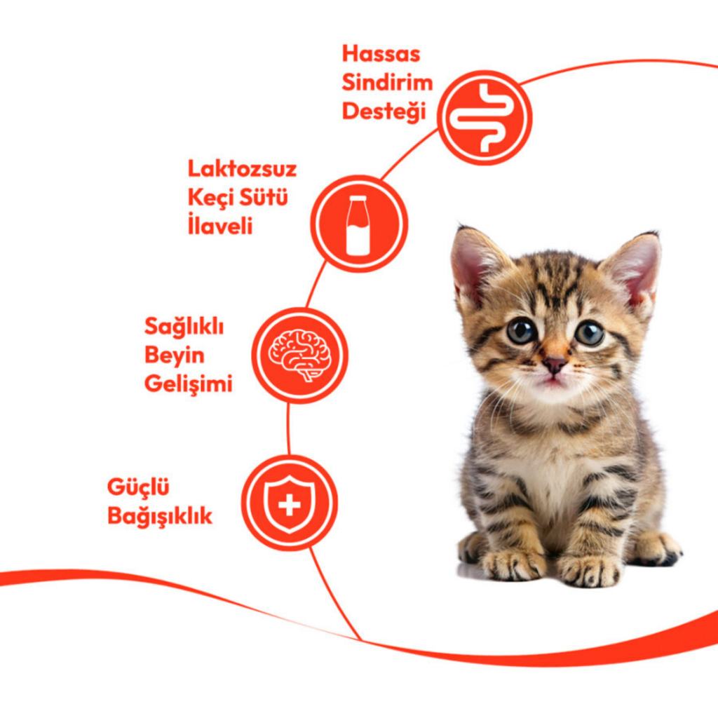 Wanpy Creamy Treat Somonlu Yavru Kedi Krema Ödül Maması 14gr (5'li)