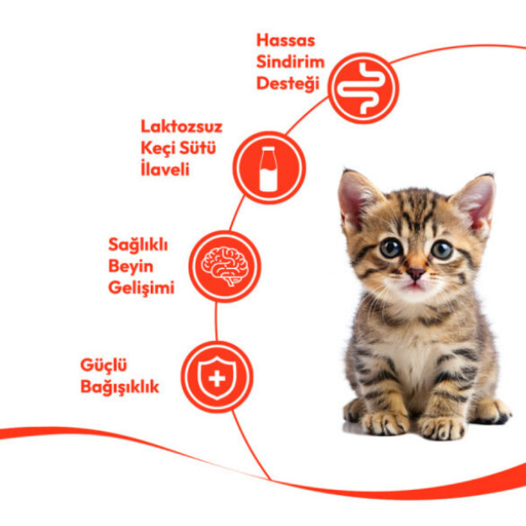 Wanpy Creamy Treat Tavuklu ve Monnalı Yavru Kedi Krema Ödül Maması 14gr (5'li)