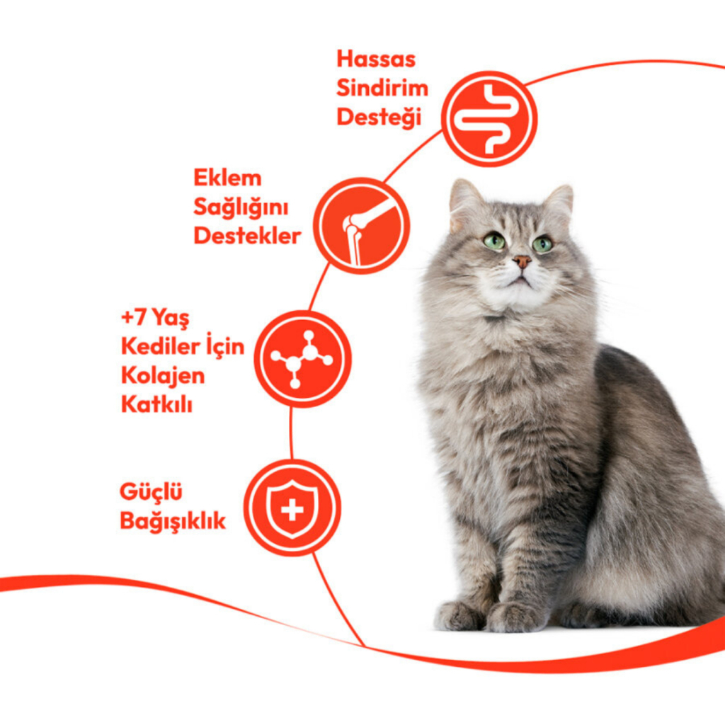 Wanpy Creamy Treat Ton Balıklı +7 Yaş Kedi Krema Ödül Maması 14gr (5'li)