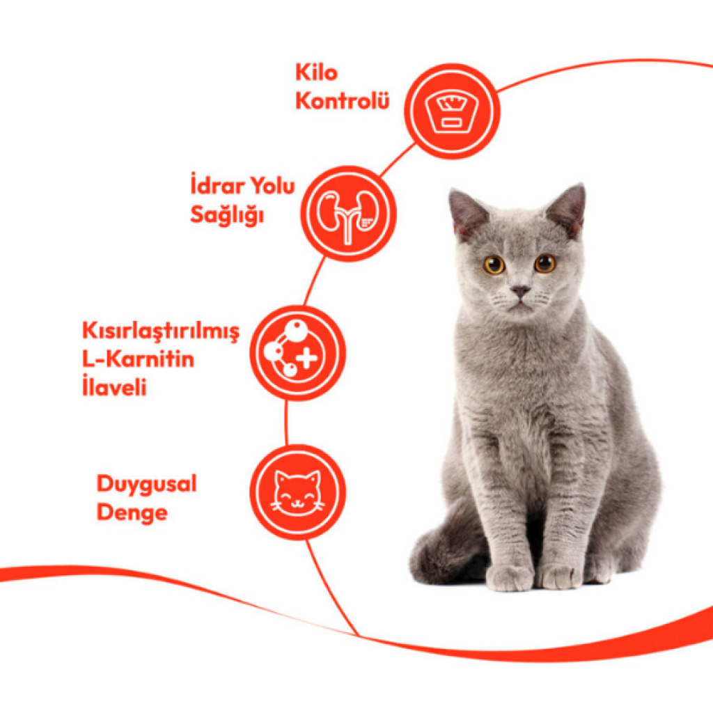 Wanpy Creamy Treat Ton Balıklı ve Kızılcıklı Kısırlaştırılmış Kedi Krema Ödül Maması 14gr (5'li)