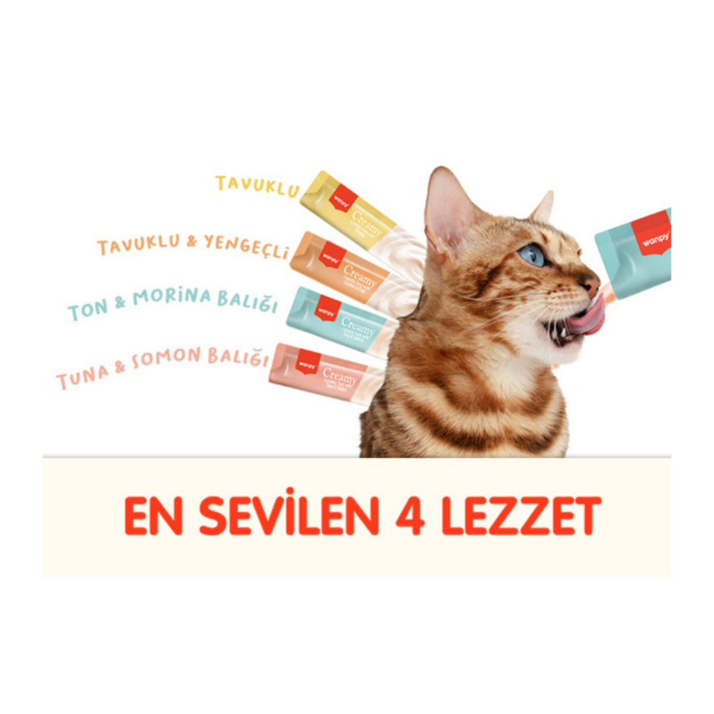 Wanpy Krema Kedi Ödül Maması 14gr (100 Adet) (Karışık Çeşitli)