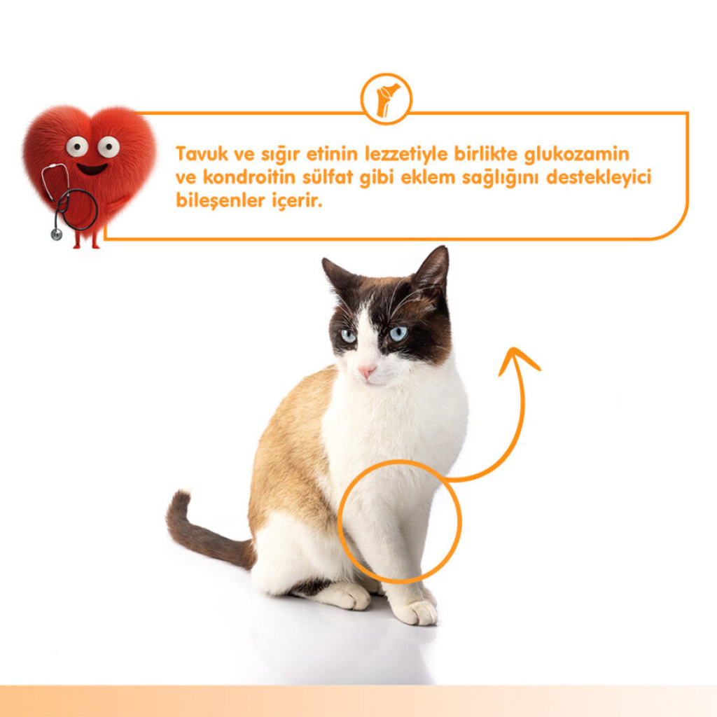 Wanpy Joint Support Sığır Etli ve Tavuklu Eklem Desteği Krema Kedi Ödül Maması 14gr (5'li)
