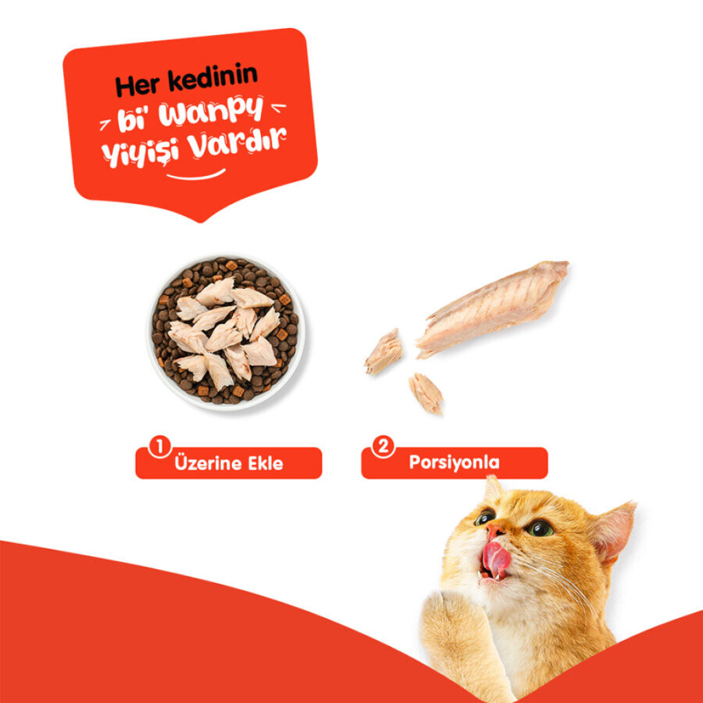 Wanpy Tavuk Fileto Kedi Ödül Maması 25gr