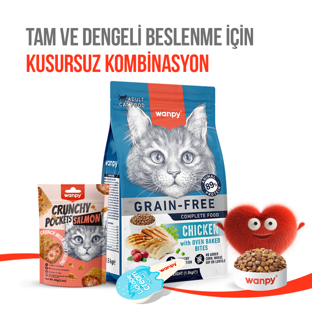 Wanpy Crunchy Pockets Somonlu ve Havyarlı Kedi Ödül Maması 60gr
