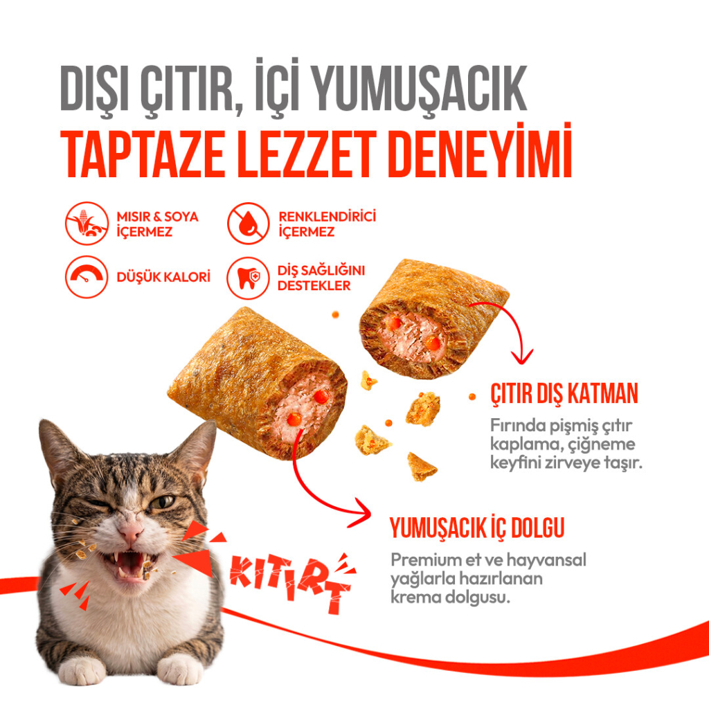 Wanpy Crunchy Pockets Somonlu ve Havyarlı Kedi Ödül Maması 60gr