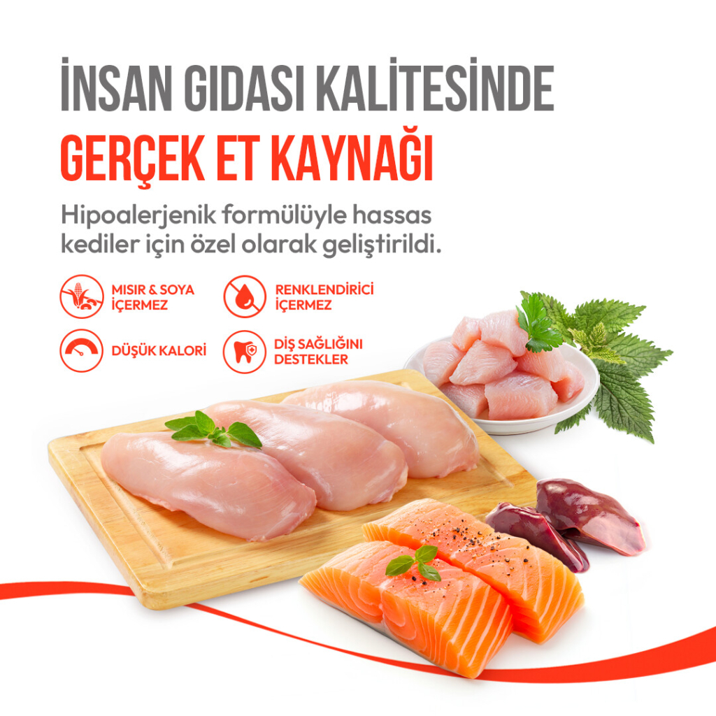 Wanpy Crunchy Pockets Tavuklu Kedi Ödül Maması 60gr