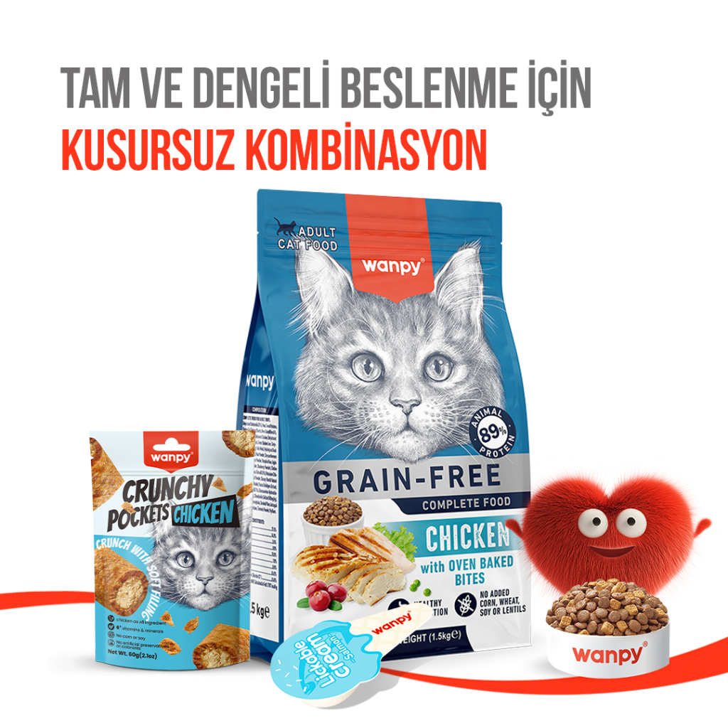 Wanpy Crunchy Pockets Tavuklu Kedi Ödül Maması 60gr