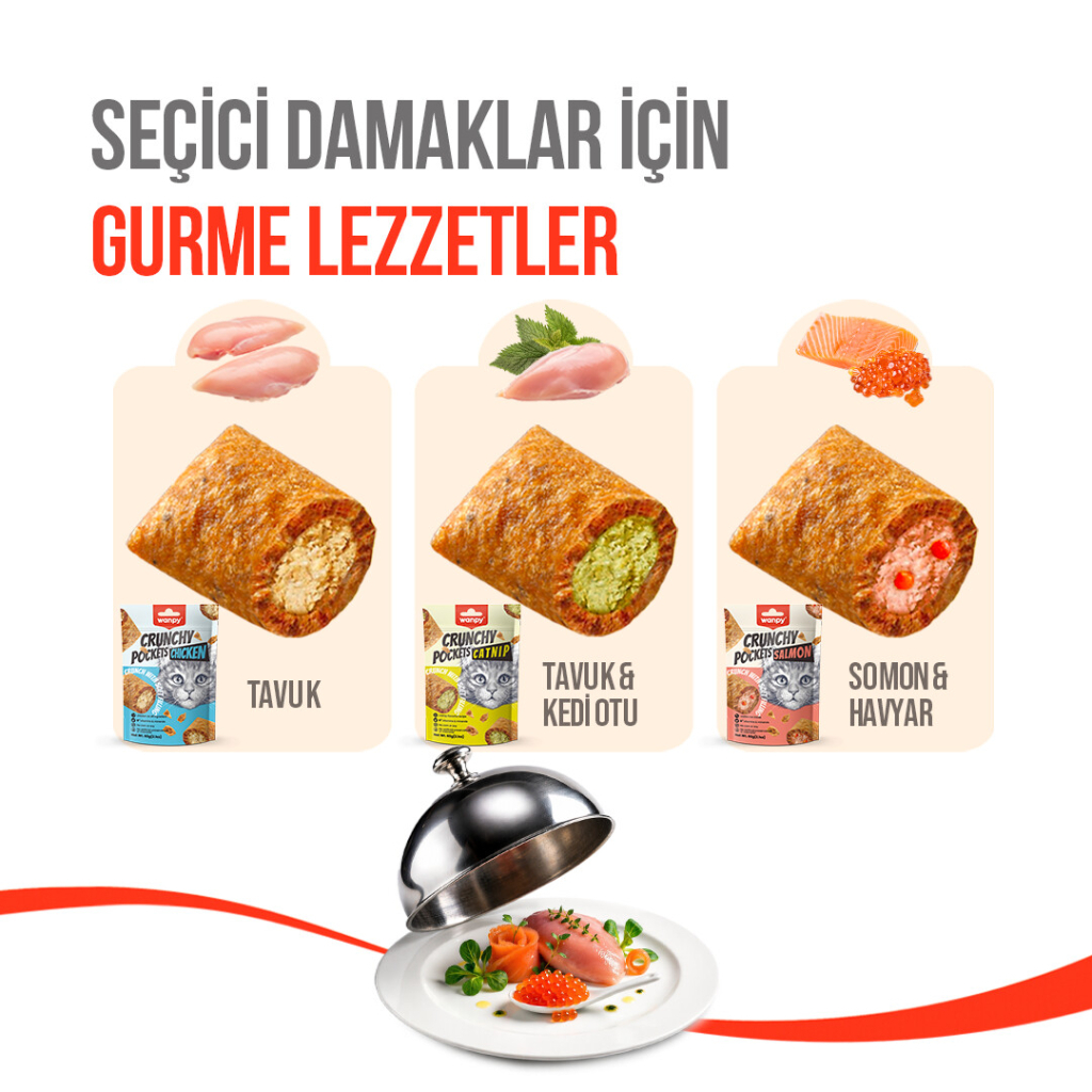 Wanpy Crunchy Pockets Tavuklu Kedi Ödül Maması 60gr