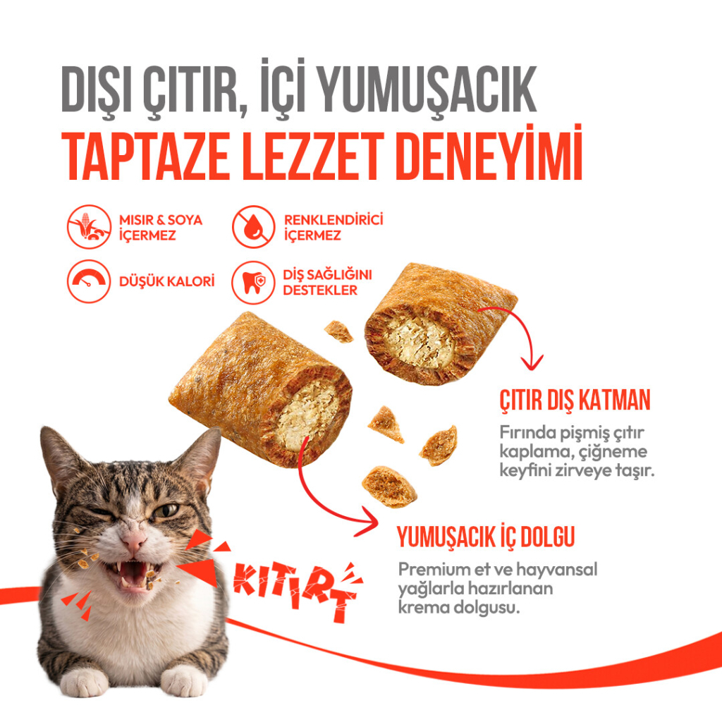 Wanpy Crunchy Pockets Tavuklu Kedi Ödül Maması 60gr