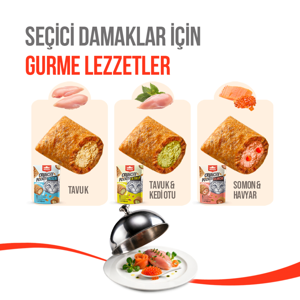 Wanpy Crunchy Pockets Catnipli ve Tavuklu Kedi Ödül Maması 60gr