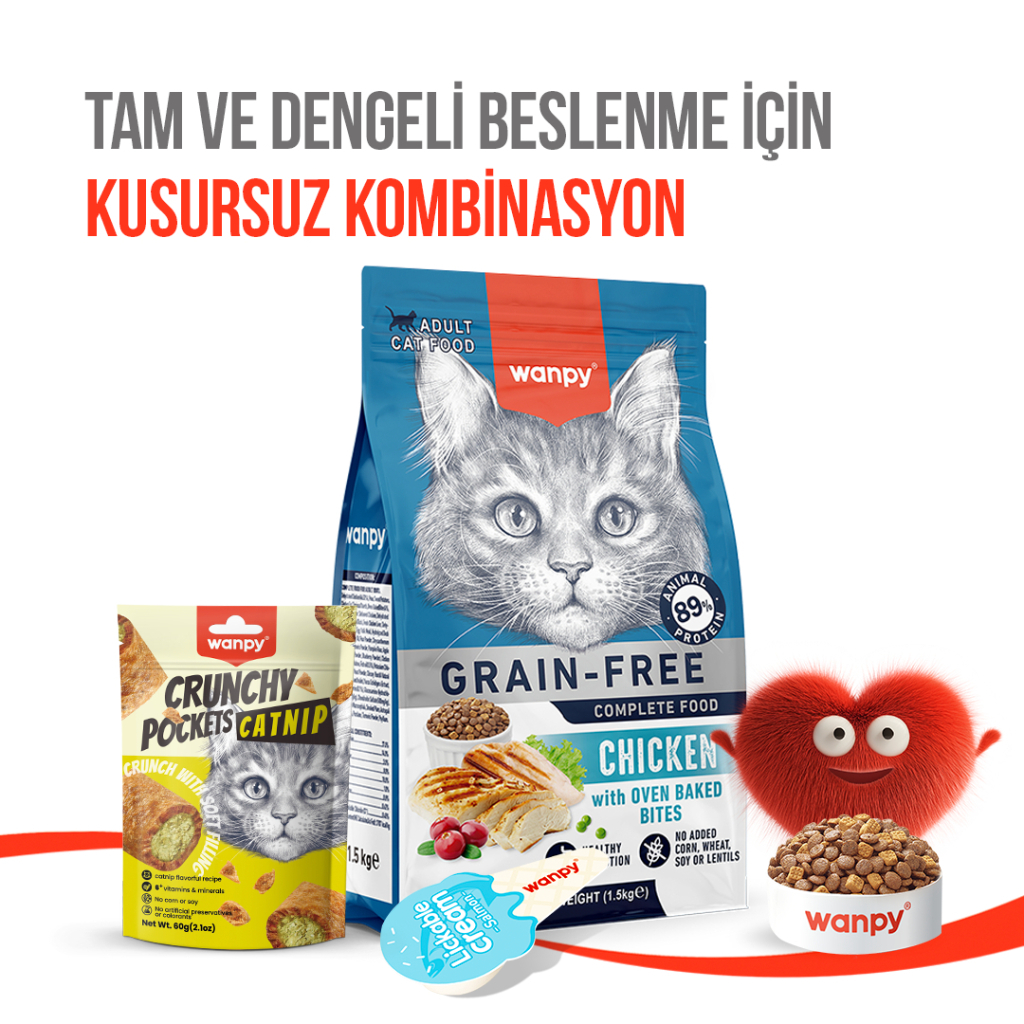 Wanpy Crunchy Pockets Catnipli ve Tavuklu Kedi Ödül Maması 60gr