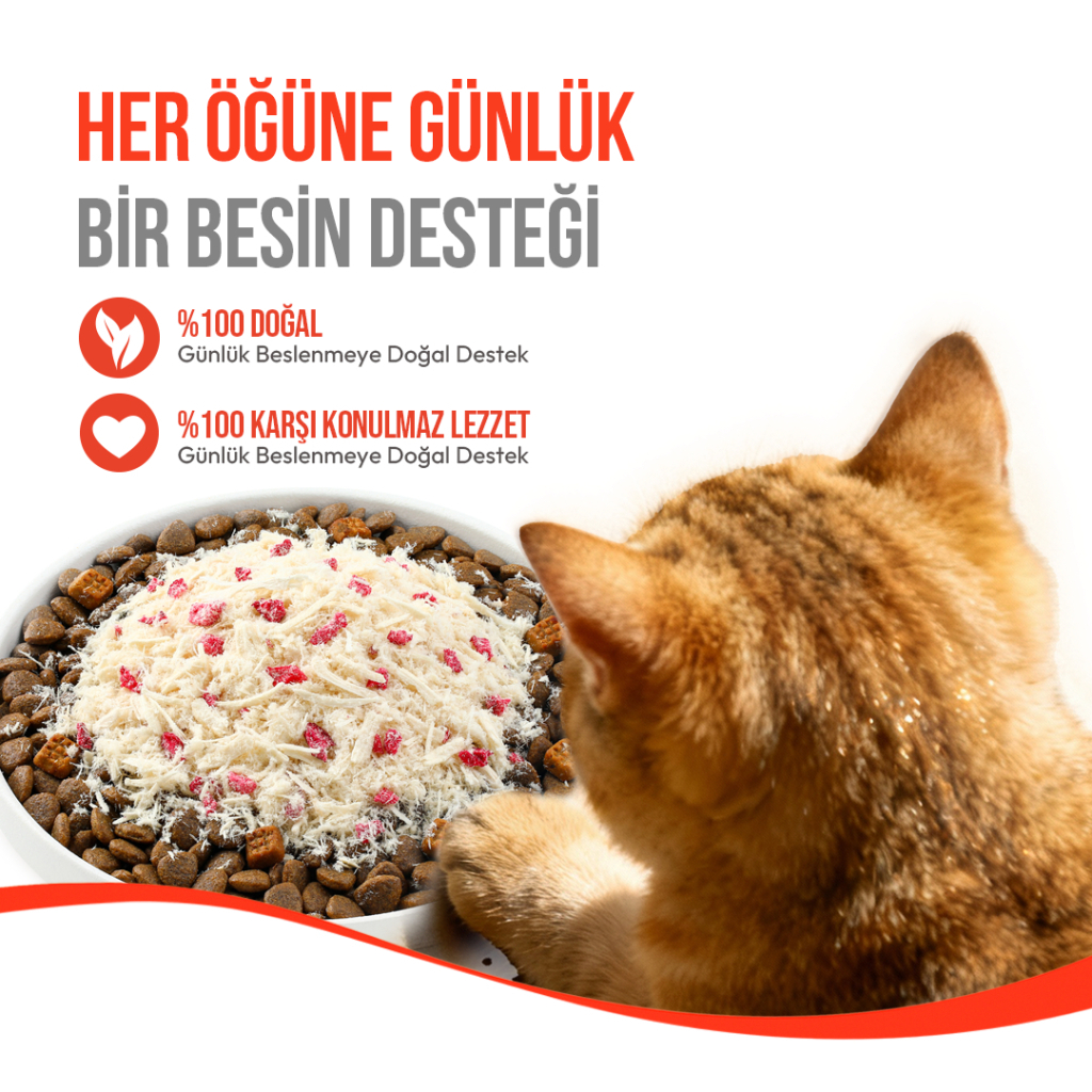 Wanpy Fluffy Topper Dondurularak Kurutulmuş Tavuklu ve Kızılcıklı Kedi Ödül Maması 30gr