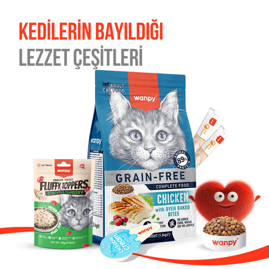 Wanpy Fluffy Topper Dondurularak Kurutulmuş Tavuklu ve Kızılcıklı Kedi Ödül Maması 30gr