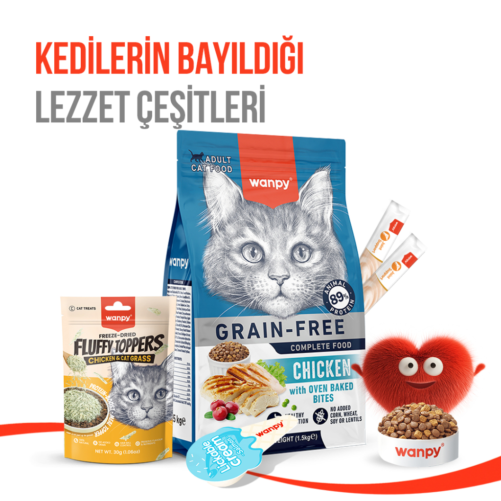 Wanpy Fluffy Topper Dondurularak Kurutulmuş Tavuklu ve Kedi Otlu Kedi Ödül Maması 30gr