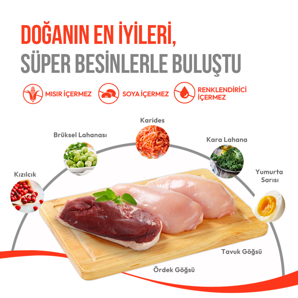 Wanpy Fluffy Topper Dondurularak Kurutulmuş Tavuklu ve Kedi Otlu Kedi Ödül Maması 30gr