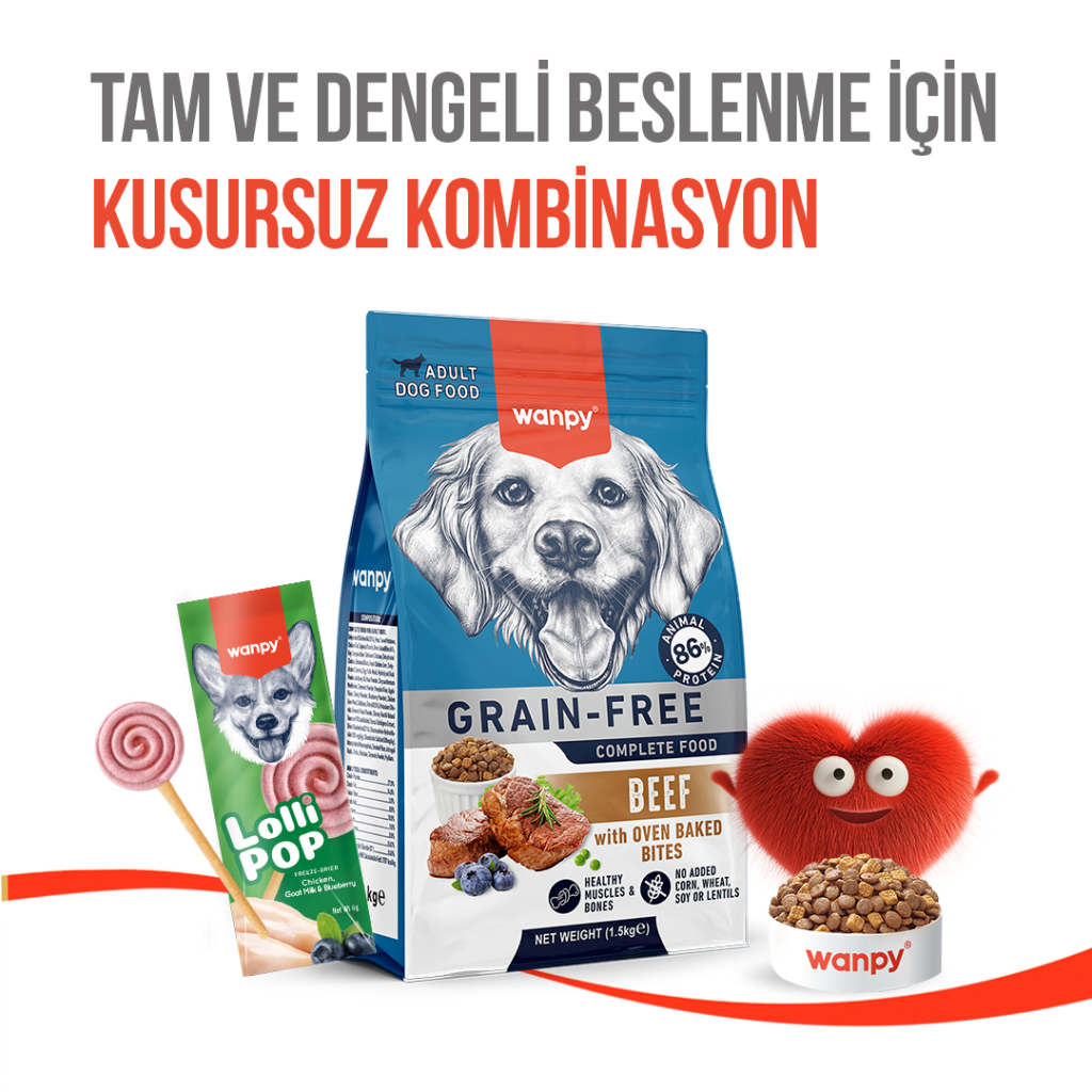 Wanpy LolliPop Dondurularak Kurutulmuş Yaban Mersinli Lolipop Köpek Ödül Maması 6gr (10'lu)