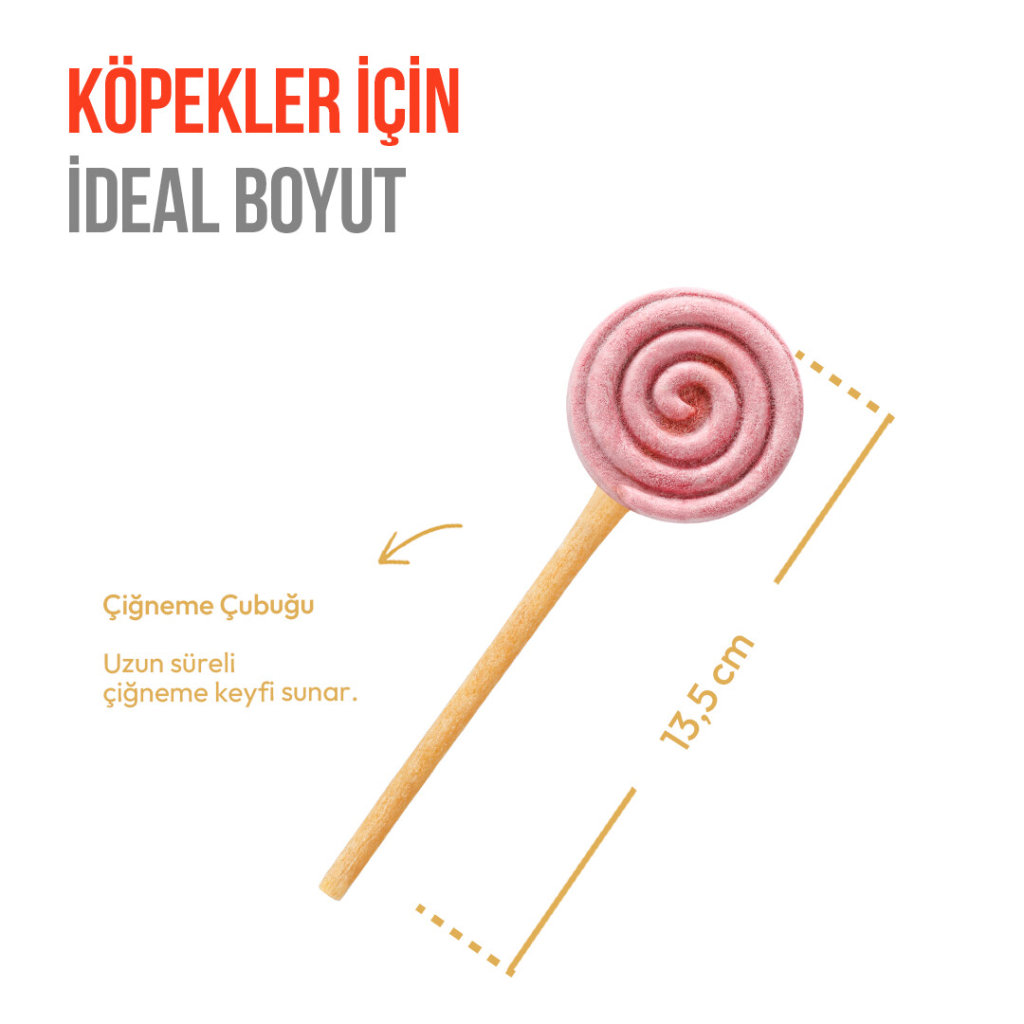Wanpy LolliPop Dondurularak Kurutulmuş Yaban Mersinli Lolipop Köpek Ödül Maması 6gr (10'lu)