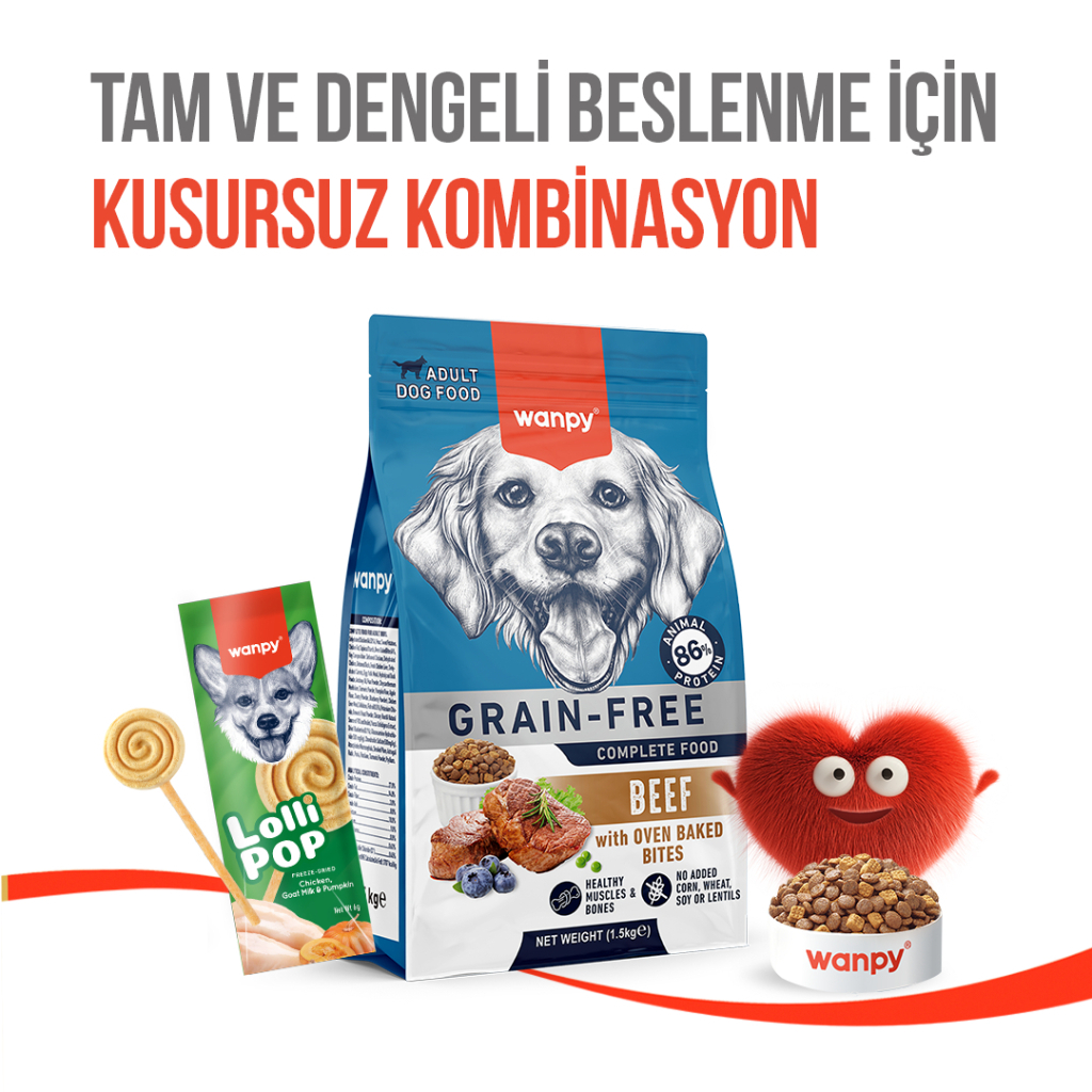 Wanpy LolliPop Dondurularak Kurutulmuş Balkabaklı Lolipop Köpek Ödül Maması 6gr (10'lu)