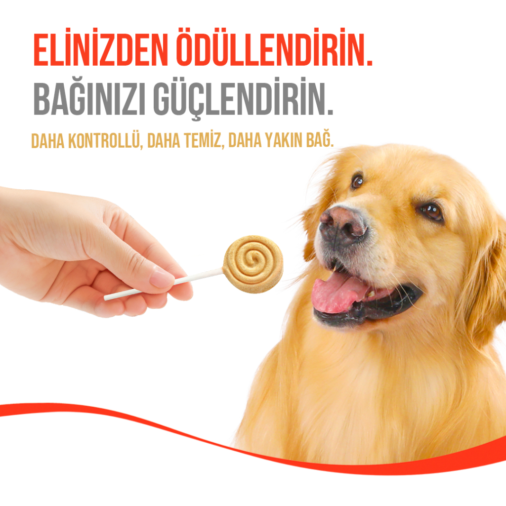 Wanpy LolliPop Dondurularak Kurutulmuş Balkabaklı Lolipop Köpek Ödül Maması 6gr (10'lu)