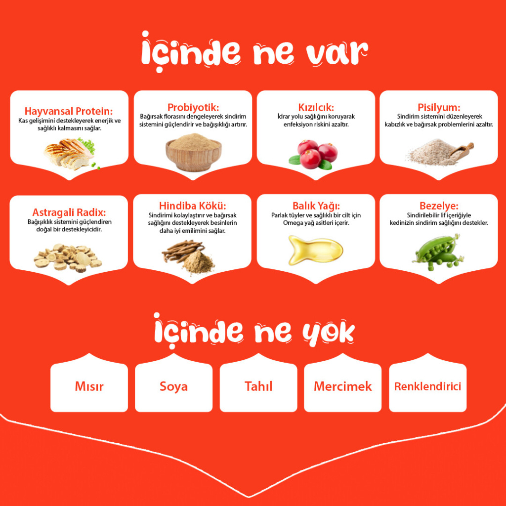 Wanpy Tavuklu Tahılsız Yavru Kedi Maması 1,5kg