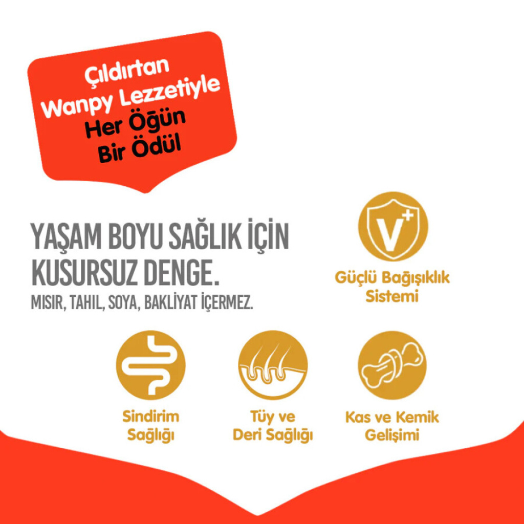 Wanpy Tavuklu Tahılsız Yavru Köpek Maması 12kg