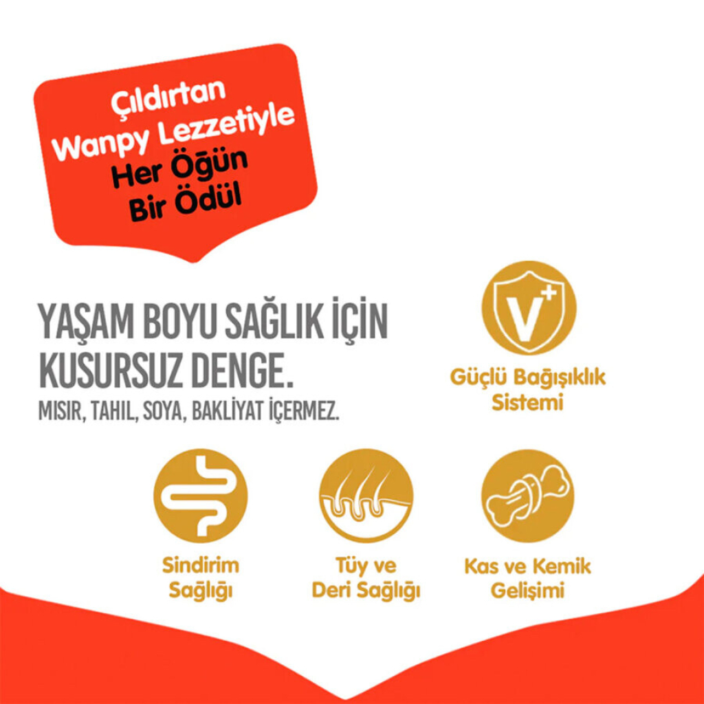 Wanpy Somonlu Tahılsız Yavru Köpek Maması 1,5kg