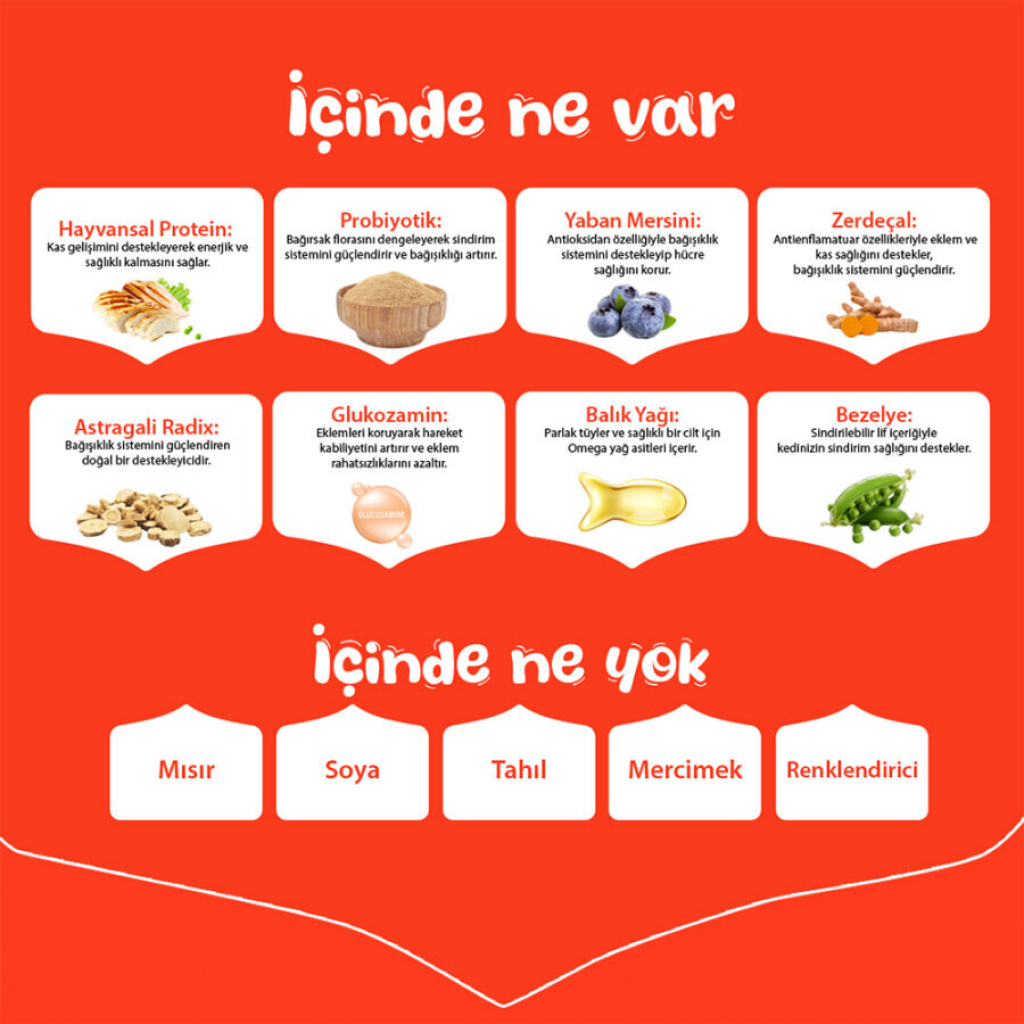 Wanpy Somonlu Tahılsız Yavru Köpek Maması 1,5kg