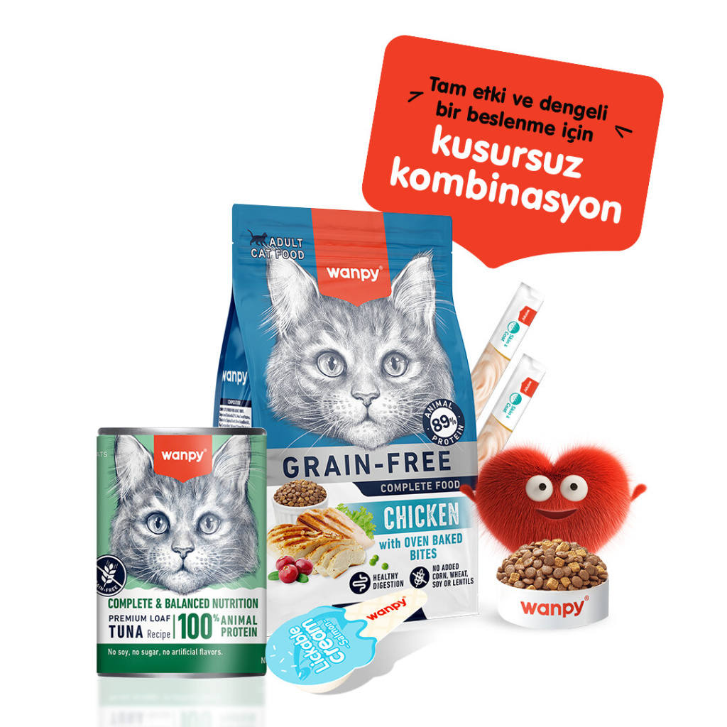 Wanpy Ton Balıklı Ezme Kedi Konservesi 375gr